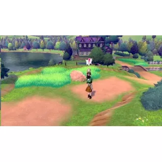 VÁLTÁS Pokémon kardot