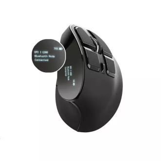 TRUST ergonomikus egér Voxx újratölthető, ergonomikus vezeték nélküli egér TRUST ergonomikus egér Voxx újratölthető, ergonomikus vezeték nélküli egér