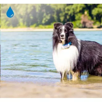 Tractive GPS DOG 4 - GPS pozíció és tevékenység követése kutyák számára Tractive GPS DOG 4 - GPS pozíció és tevékenység követése kutyák számára