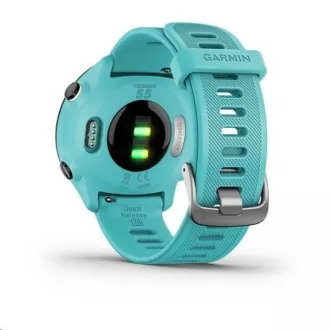 Garmin GPS sportóra Forerunner 55 Blue