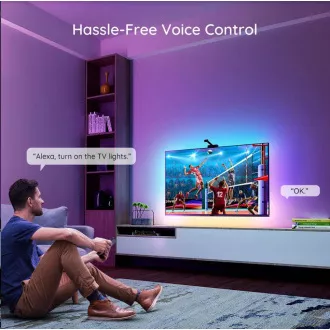 Govee DreamView TV 55-65 Govee DreamView TV 55-65