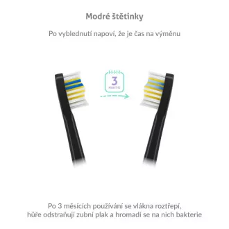 TrueLife SonicBrush Compact fekete