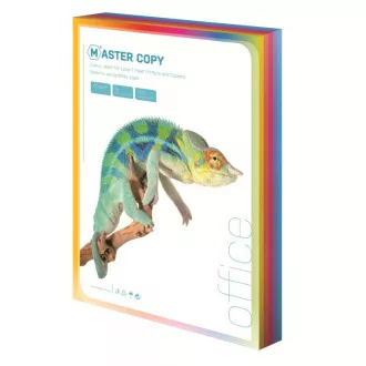 Ofszet papír Master A4 / 80g mély szivárvány 5 szín 100 lap Ofszet papír Master A4 / 80g mély szivárvány 5 szín 100 lap