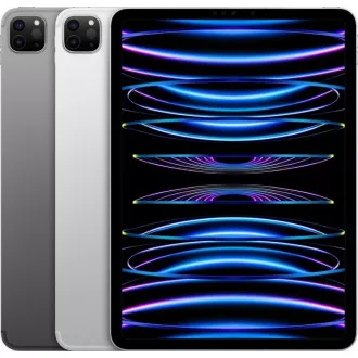 APPLE 11