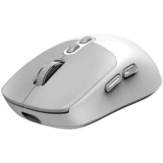 GENIUS egér NX-8080S BT/ dual Bluetooth   2, 4GHz/ 1600 dpi/ Copilot/ vezeték nélküli/ csendes/ fehér/ szürke
