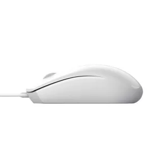 TRUST egér TM-101, optikai, ECO, USB, fehér