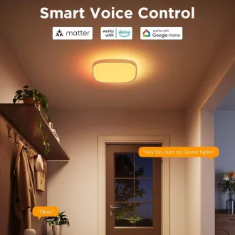 Govee RGBICWW Smart négyzet alakú mennyezeti lámpa 2400lm 30cm Matter