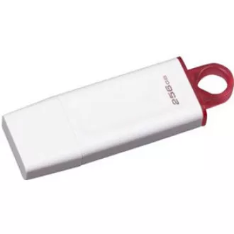 Kingston 256 GB USB3.2 Gen1 DataTraveler Exodia (fehér + rózsaszín)