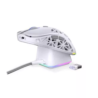 Endorfy Gaming egér LIV Plus Wireless Onyx White, vezeték nélküli, ARGB, fehér, fehér