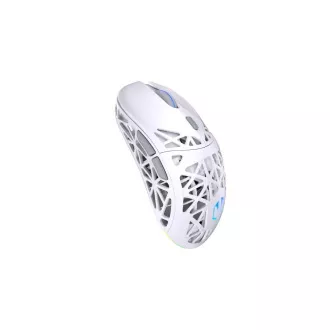 Endorfy Gaming egér LIV Wireless Onyx White, vezeték nélküli, ARGB, fehér, fehér