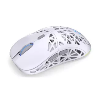 Endorfy Gaming egér LIV Wireless Onyx White, vezeték nélküli, ARGB, fehér, fehér