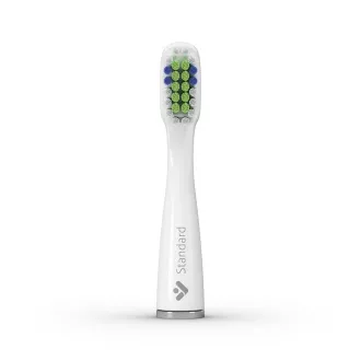 TrueLife SonicBrush Slim-sorozatú fejek Standard fehér 2 csomag