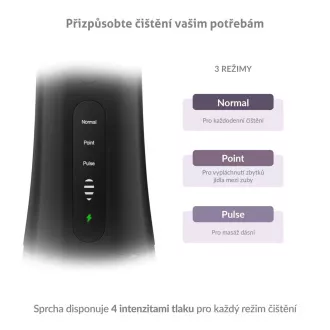 TrueLife AquaFloss Compact L100 fekete szájzuhany TrueLife AquaFloss Compact L100 fekete szájzuhany