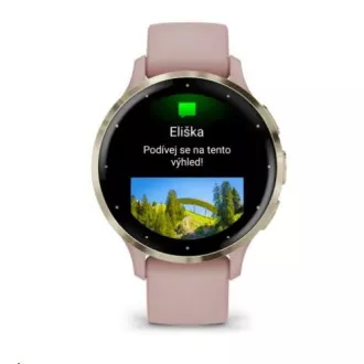 Garmin Venu® 3S, Puha arany rozsdamentes acél lunetta, Dust Rose tok, szilikon szíj