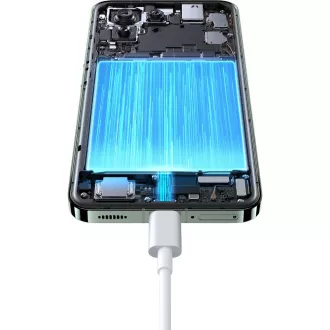 Xiaomi 13 8/256GB Flora Green XIAOMI XIAOMI Xiaomi 13 8/256GB Flora Green XIAOMI XIAOMI