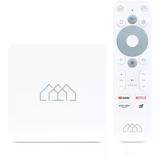 HOMATICS Box R 4K Lite Android TV