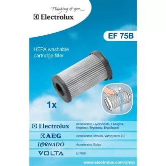 EF75B CIKLON SZŰRŐ(900195949) ELECTROLUX