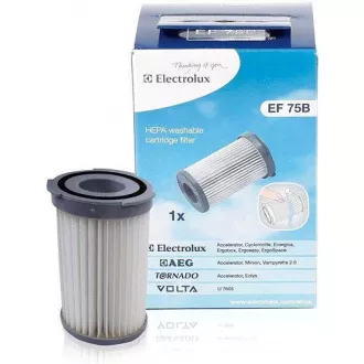 EF75B CIKLON SZŰRŐ(900195949) ELECTROLUX