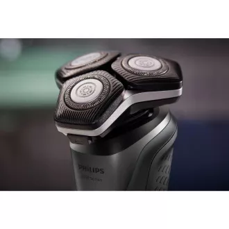 S5887/10 BOROTVA PHILIPS