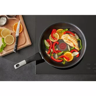 G2550272 UNLIMITED PAN 20 cm TEFAL