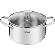 B9214474 COOK EAT CASTLE 20 CM TEFAL