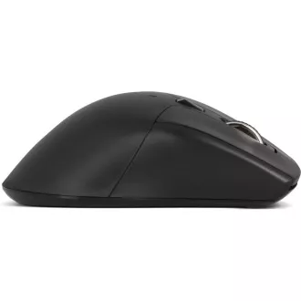 YMS 2035 Mouse WL csendes SILENCIO YENKEE