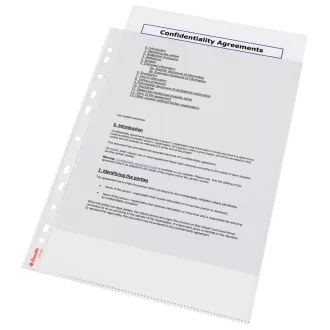 LEITZ műanyag zsebek Esselte Standard A4, GC, 55 mic, 100 db-os dobozban