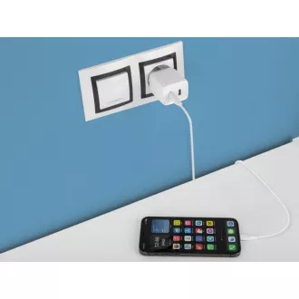 AVACOM HomePRO 2 hálózati töltő Power Delivery 40W-os teljesítményű, két USB-C kimenettel