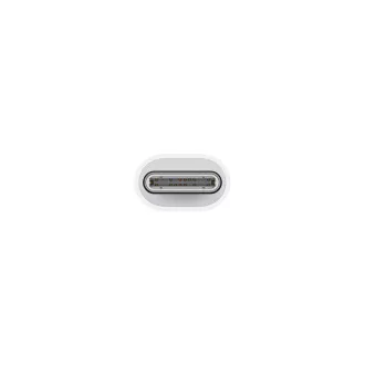 USB-C Lightning adapter / HU