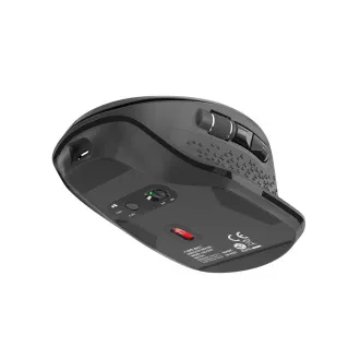 Natec Optikai egér FALCON/Office/Optikai/jobbkezes/3 200 DPI/Vezeték nélküli Bluetooth/fekete
