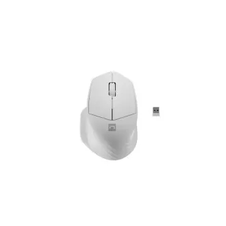 Natec optikai egér SISKIN 2/Office/Optikai/jobbkezes/1 600 DPI/USB BT/Fehér