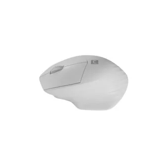 Natec optikai egér SISKIN 2/Office/Optikai/jobbkezes/1 600 DPI/USB BT/Fehér