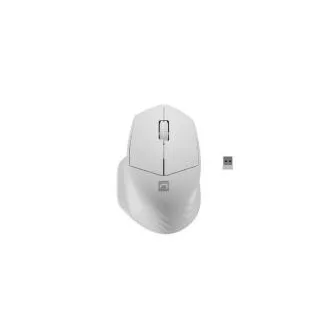 Natec optikai egér SISKIN 2/Office/Optikai/jobbkezes/1 600 DPI/USB BT/Fehér Natec optikai egér SISKIN 2/Office/Optikai/jobbkezes/1 600 DPI/USB BT/Fehér