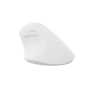 Natec CRAKE 2 vezeték nélküli egér/Office/Optikus/2 400 DPI/USB BT/Fehér/Vertikális/Optikus/Jobbkezes