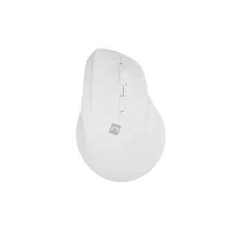 Natec CRAKE 2 vezeték nélküli egér/Office/Optikus/2 400 DPI/USB BT/Fehér/Vertikális/Optikus/Jobbkezes
