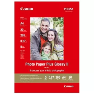 Cano PHOTO PAPER PLUS (PP-201), 4x6", 100 lap