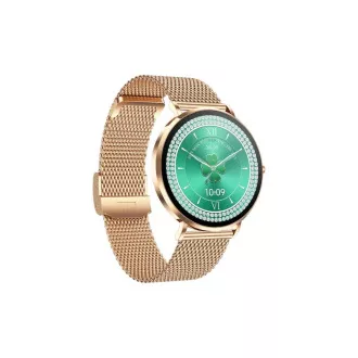 CARNEO Phoenix HR  2nd Gen/41mm/Gold/Elegant Band/Gold