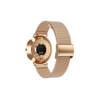 CARNEO Phoenix HR  2nd Gen/41mm/Gold/Elegant Band/Gold