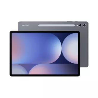 Samsung Galaxy Tab S10 /SM-X820/12.4