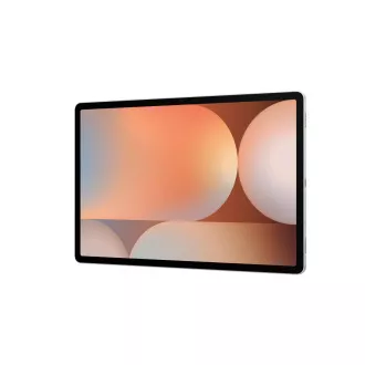 Samsung Galaxy Tab S10 /SM-X820/12.4