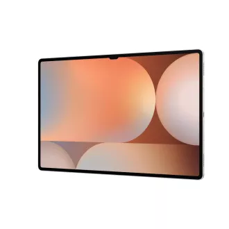 Samsung Galaxy Tab S10 Ultra/SM-X920/14.6