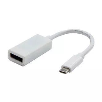 USB/Video átalakító, DP Alt Mode, USB C hím - DisplayPort csatlakozó, fehér, 4K2K@30Hz 65507, ELADÓ