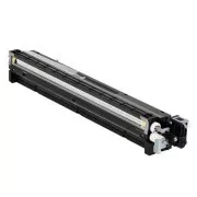 Ricoh D1773020 - toner, black (fekete )