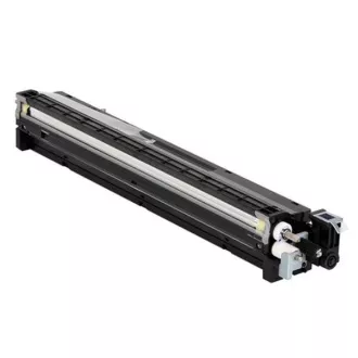 Ricoh D1773020 - toner, black (fekete )