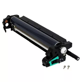 Ricoh M0262024 - optikai egység, black (fekete)