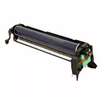 Ricoh D0892250 - optikai egység, black (fekete)