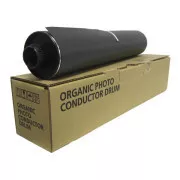 Ricoh D0099510 - toner, black (fekete )