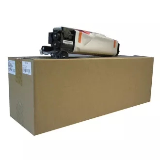 Ricoh D117-0121 - optikai egység, black (fekete)