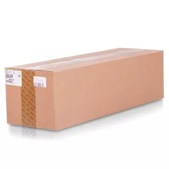 Ricoh D0292252 - optikai egység, black (fekete)