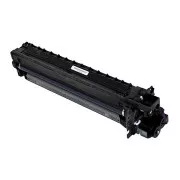 Ricoh D2970121 - optikai egység, black (fekete)